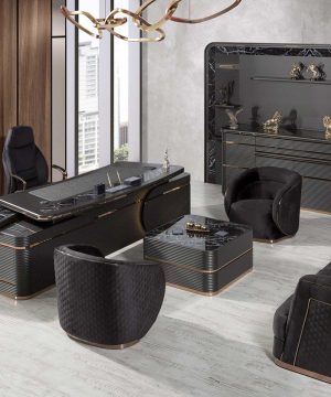 Vip Excelance Black Yönetici Takımı