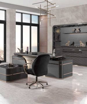 Vip Excelance Black Yönetici Takımı
