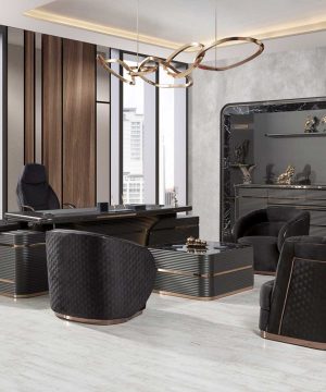 Vip Excelance Black Yönetici Takımı