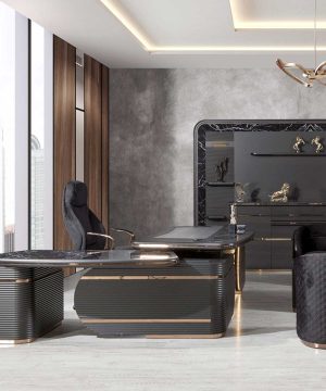 Vip Excelance Black Yönetici Takımı